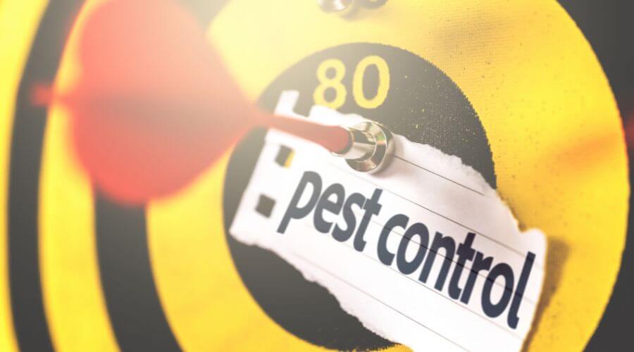 Professional restaurant pest control services in Huntington - Restaurant Pest Control Huntington